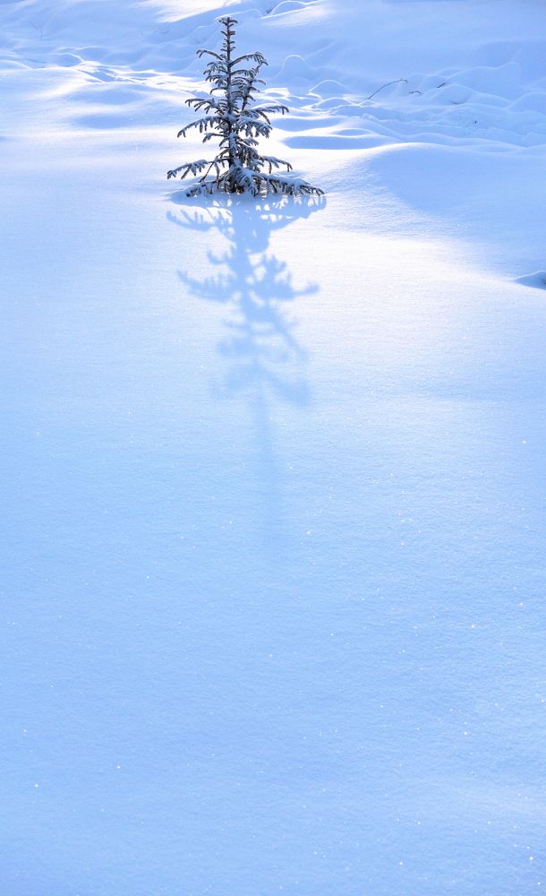 Photograph by Александр Карпенко