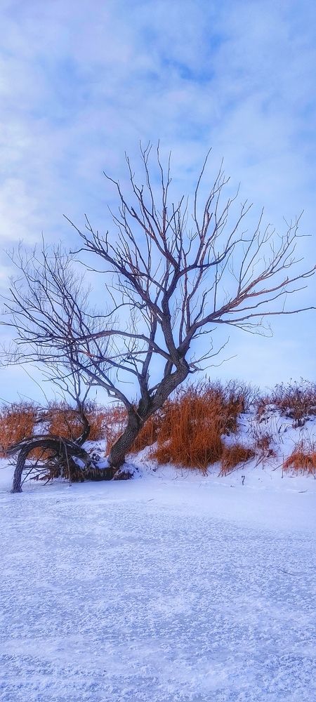 Photograph by Валентин Волк