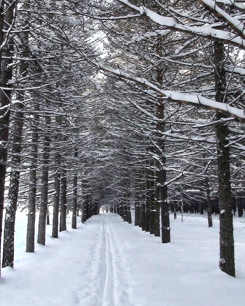 Photograph by Петр Поспелов