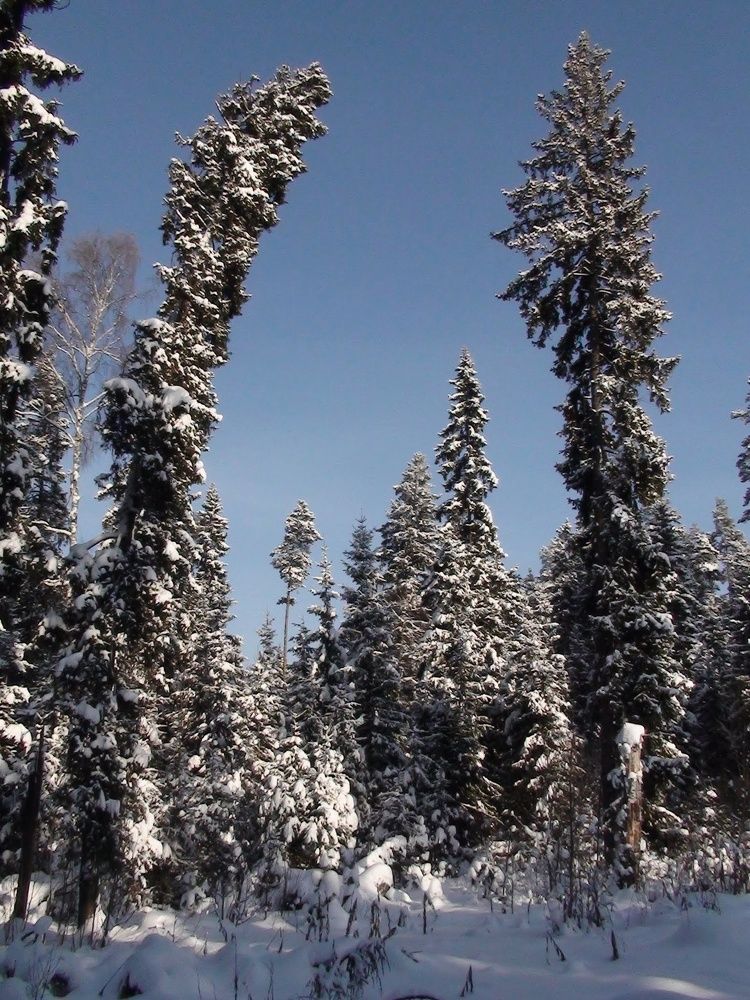 Photograph by Петр Поспелов