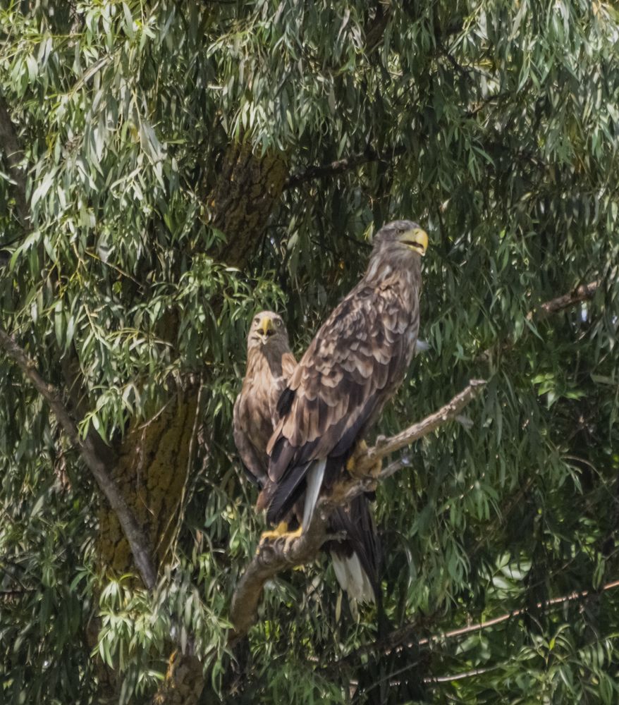 Photograph by Артем Шумов