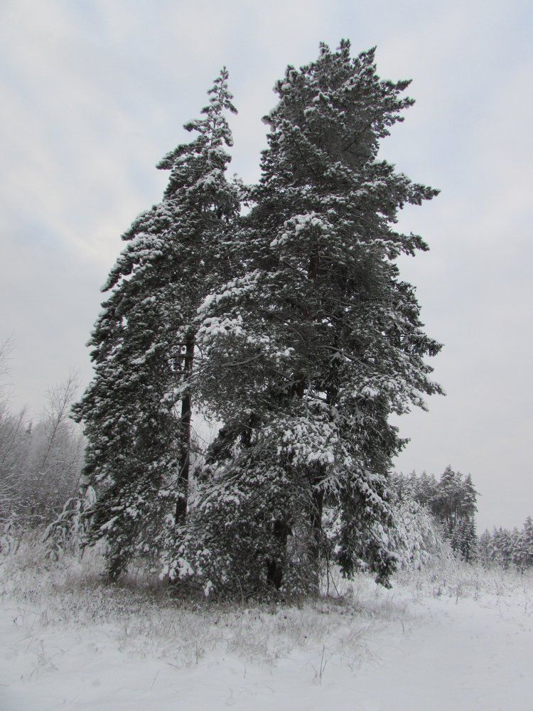 Photograph by Екатерина Лобанова