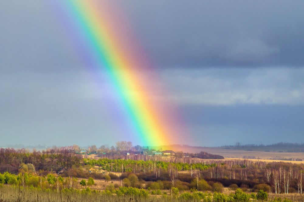 Photograph by Дмитрий Алексеев