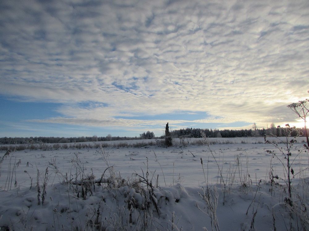 Photograph by Екатерина Лобанова