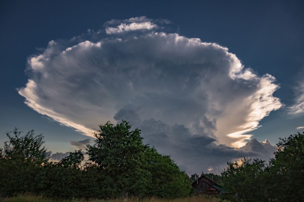 Photograph by Дмитрий Алексеев