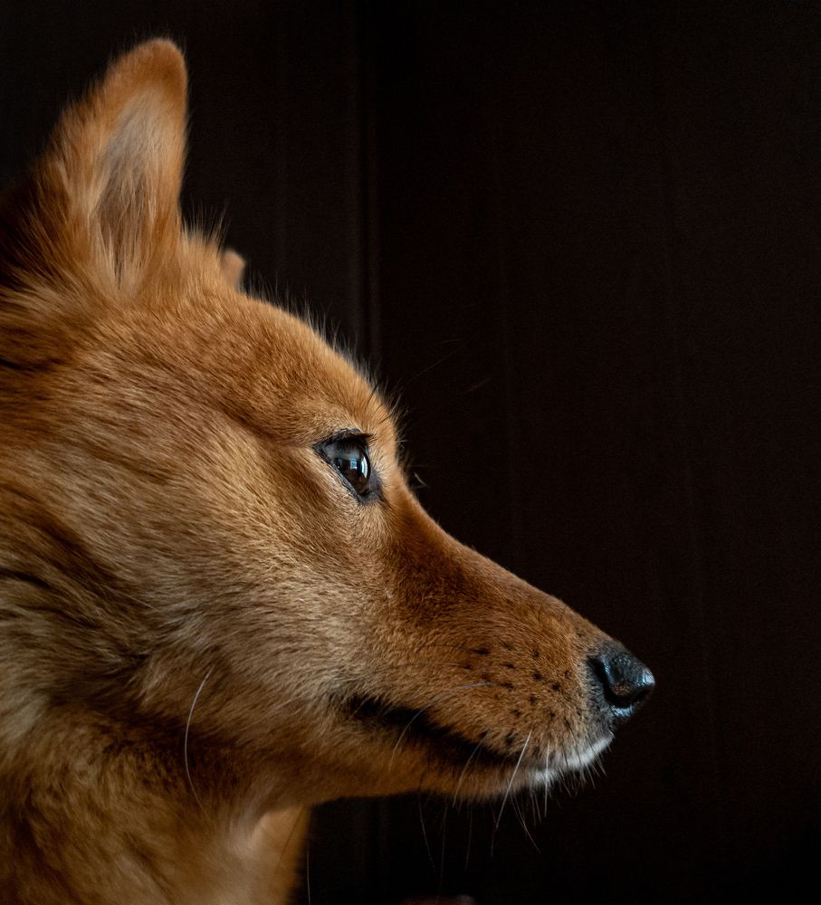 Photograph by Павел Алтухов