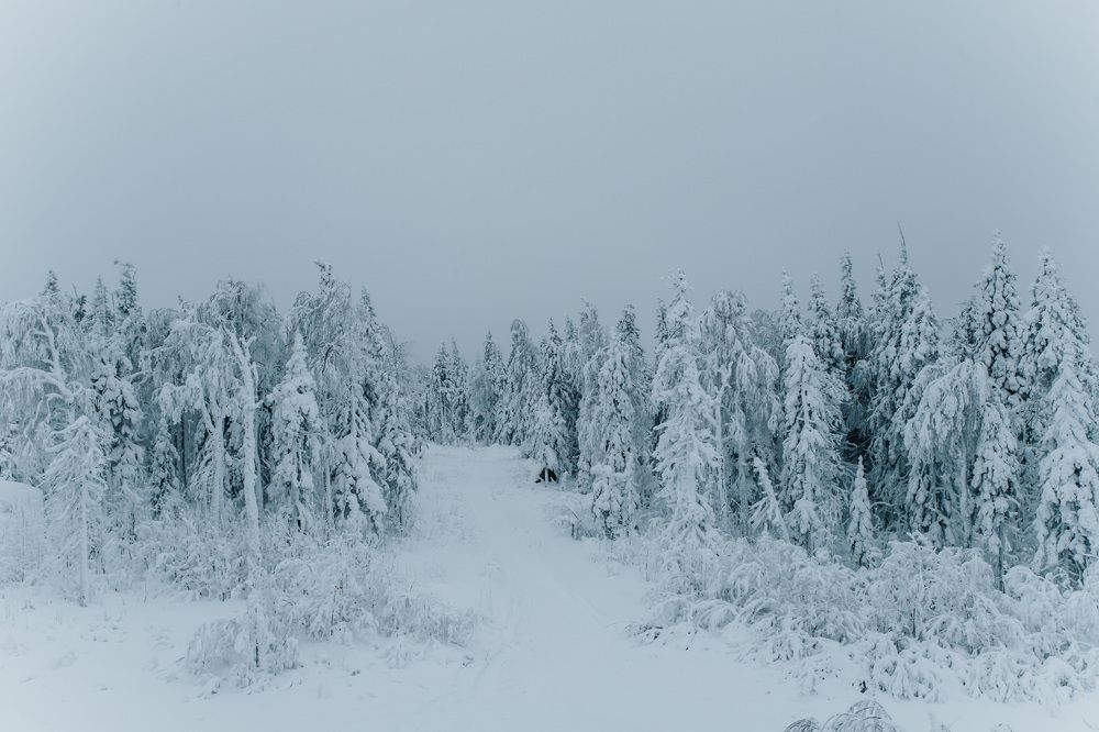 Photograph by Елизавета Погадаева