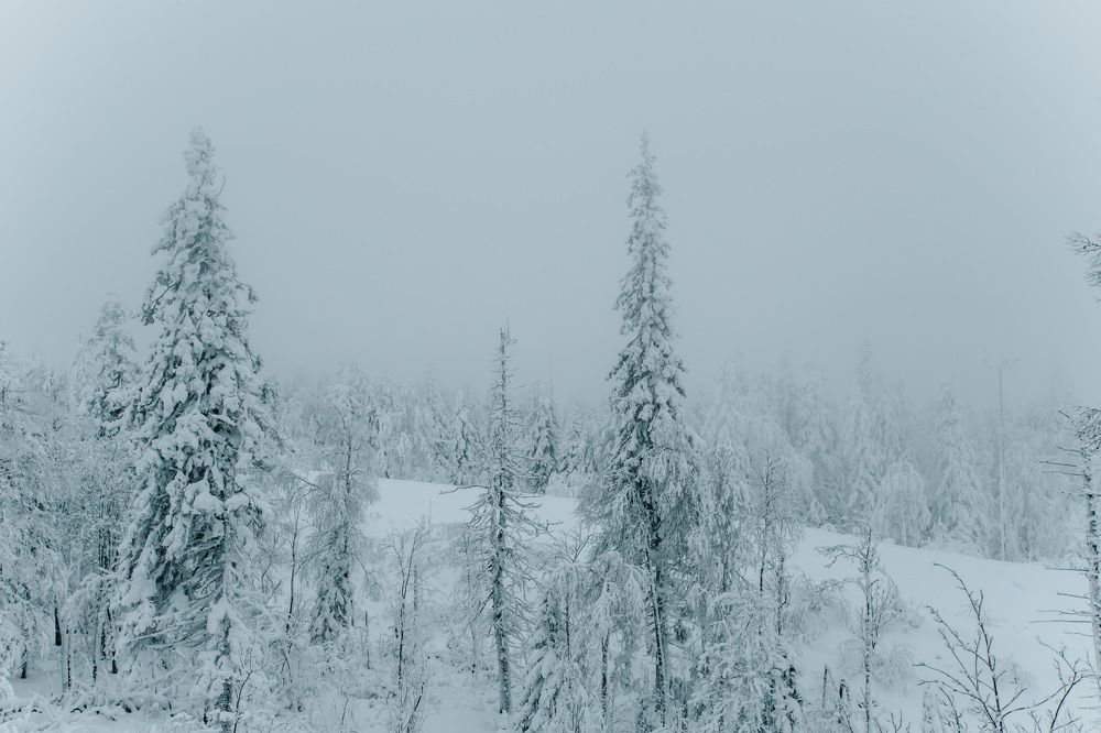 Photograph by Елизавета Погадаева