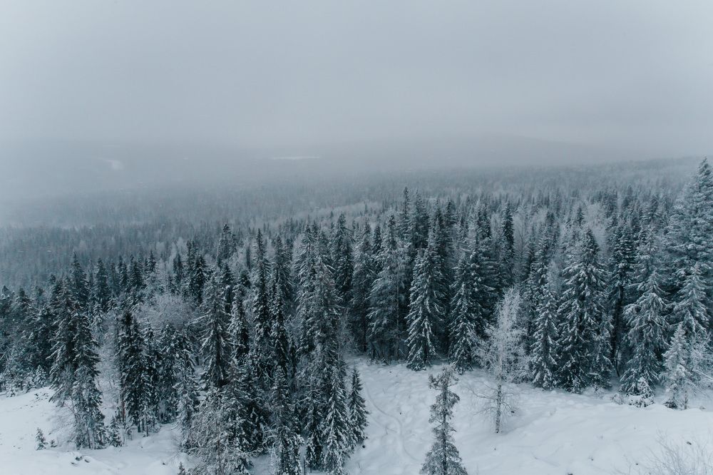 Photograph by Елизавета Погадаева