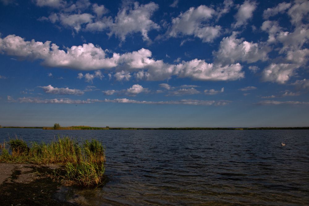 Кучерявое утро!)