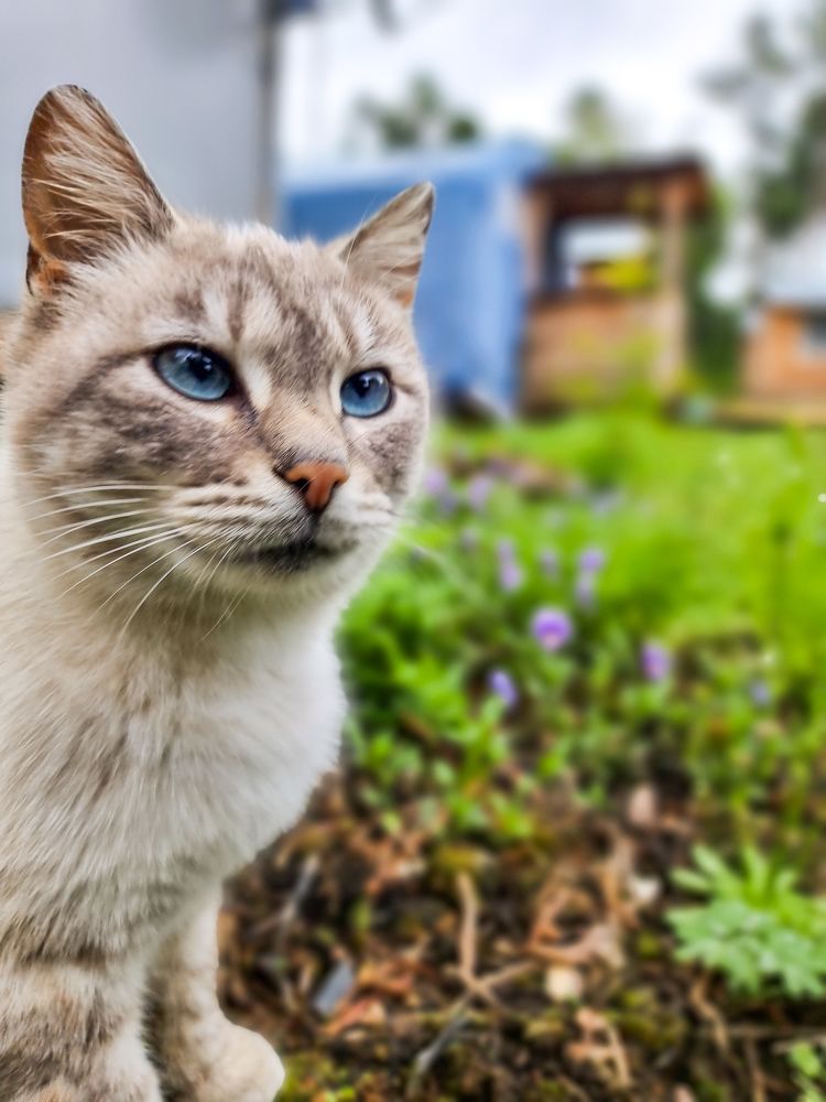 Photograph by Павел Алтухов