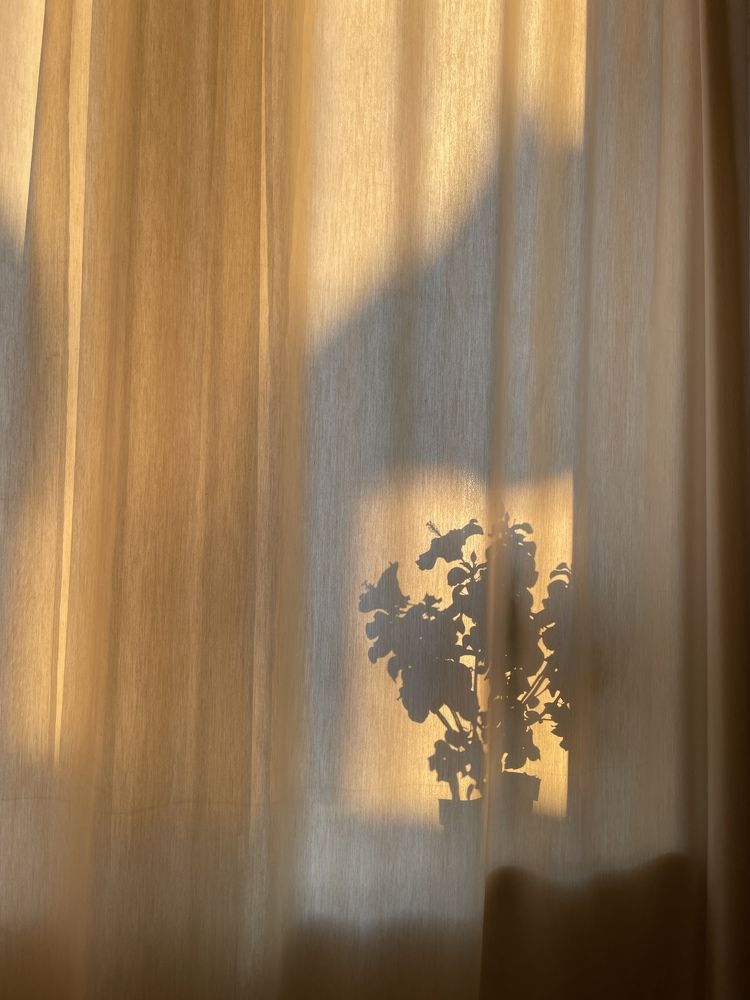 Photograph by Ольга Рачилова