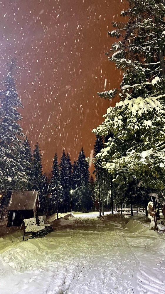 Photograph by Alina Andreevna