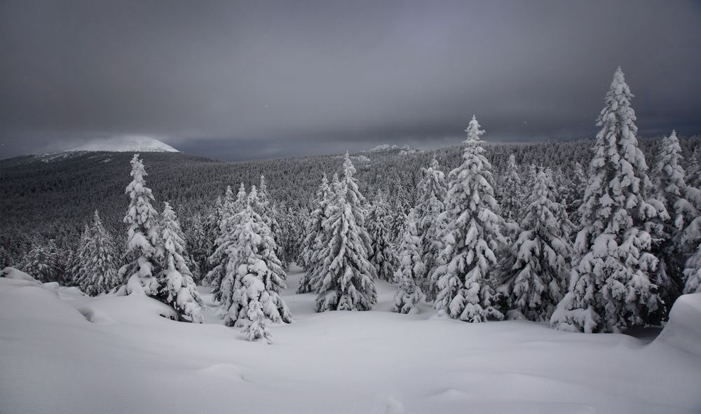 Photograph by Виктор Смирнов