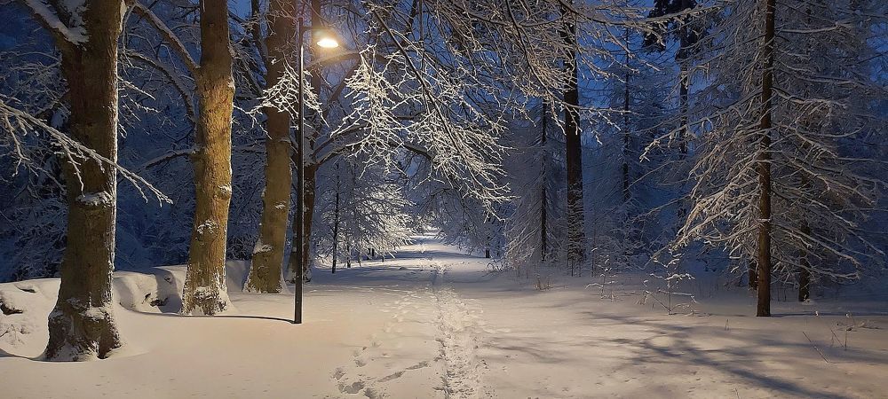 Photograph by Epp Tappel