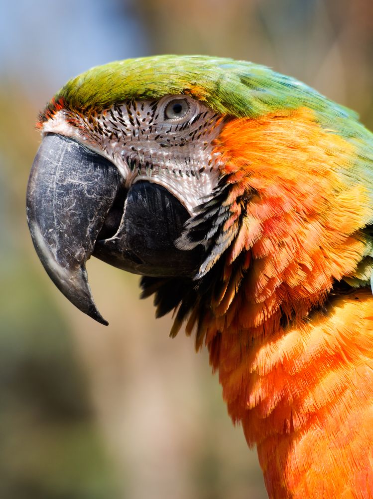 Photograph by Abdolreza Aleagha