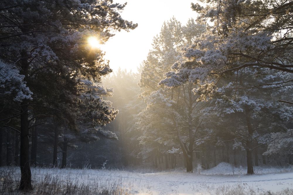 Photograph by Дубровин Николай