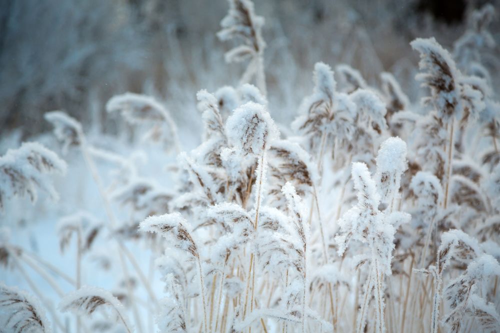 Photograph by Александра Ставчикова