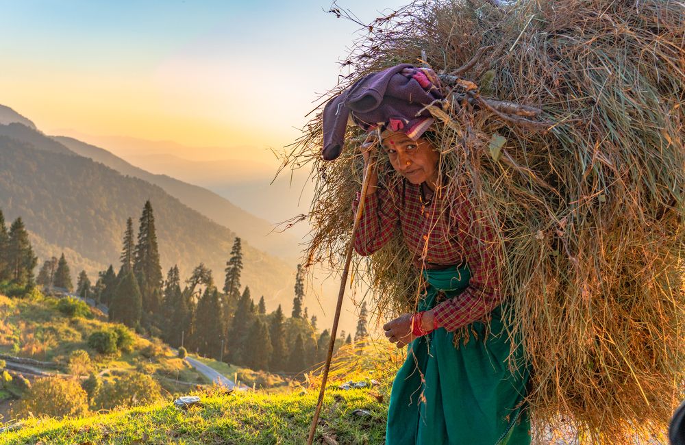 Photograph by digvijay singh janoti