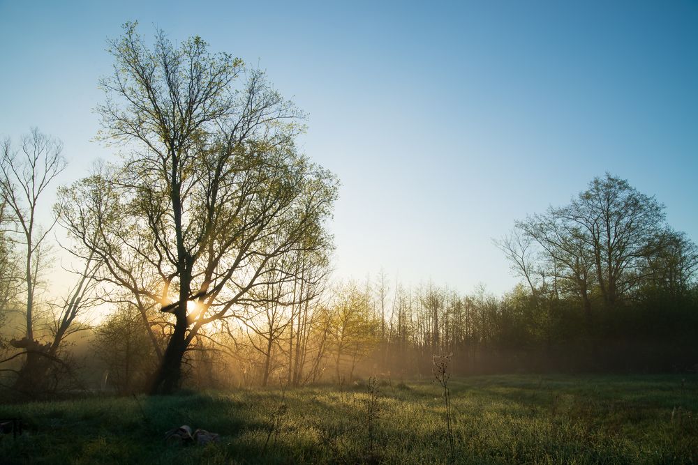 Photograph by Сергей Мальцев