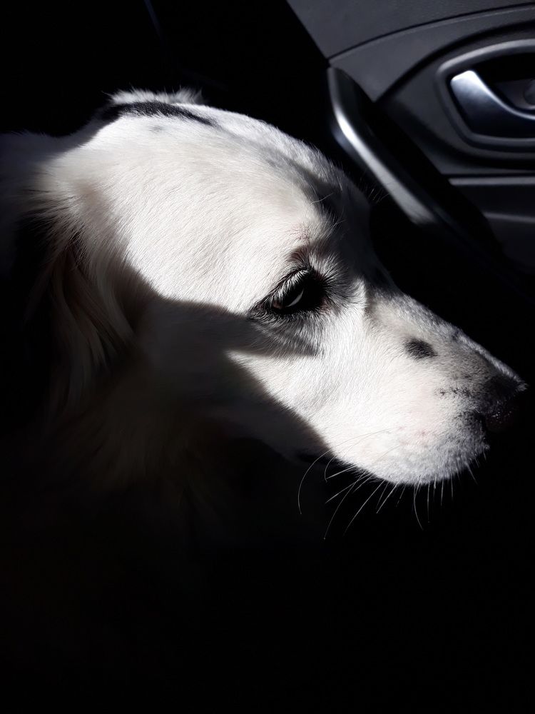 Photo #8474237