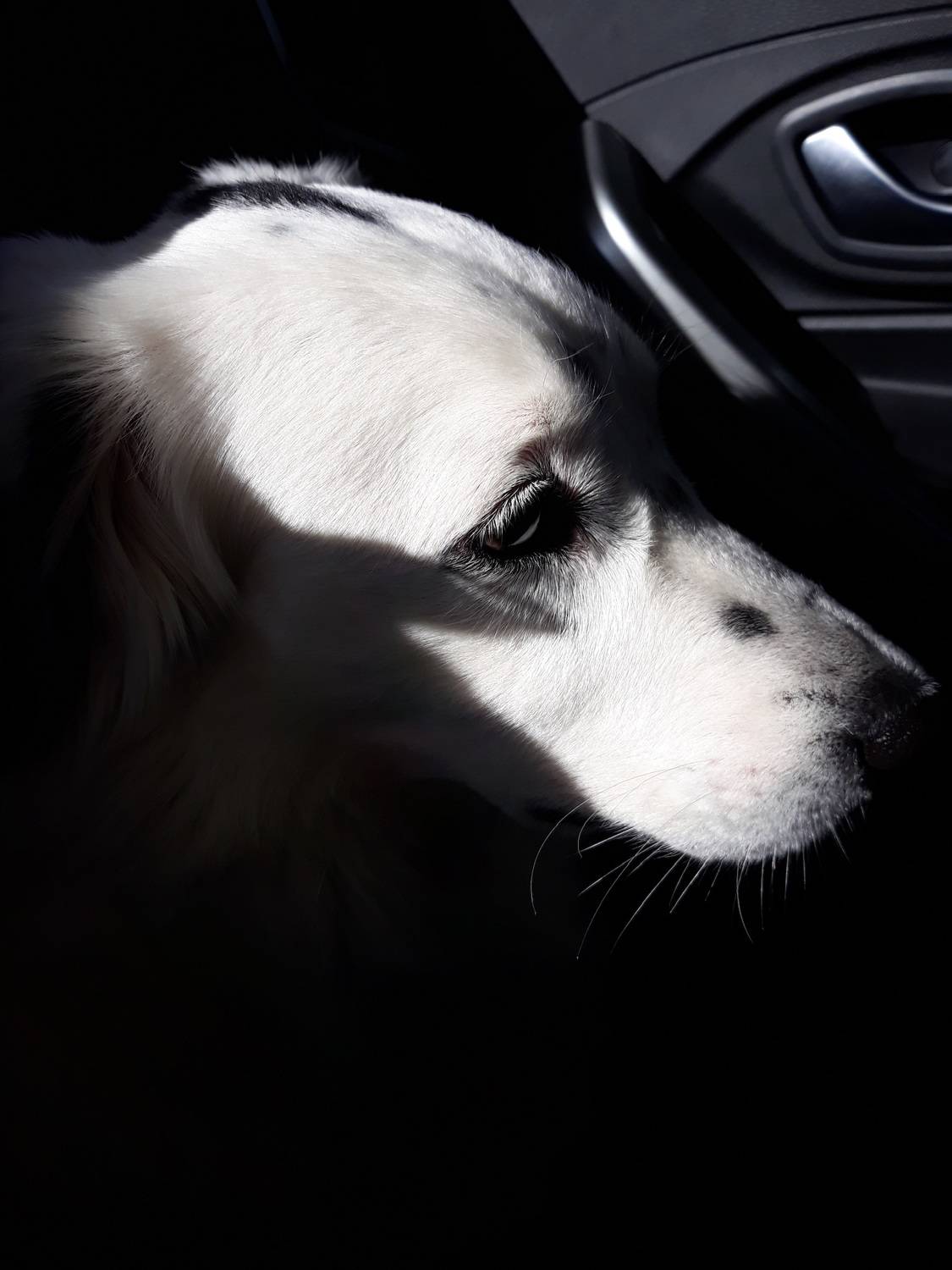 Photo #8474237