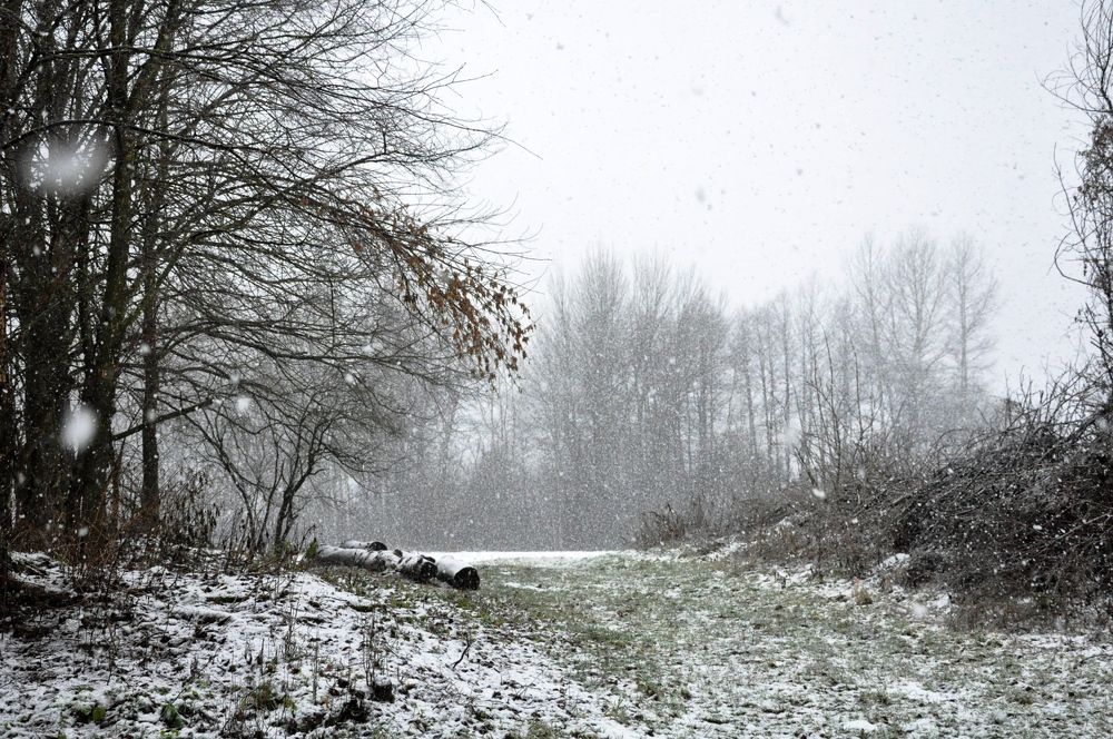 Photograph by Лысых Галина