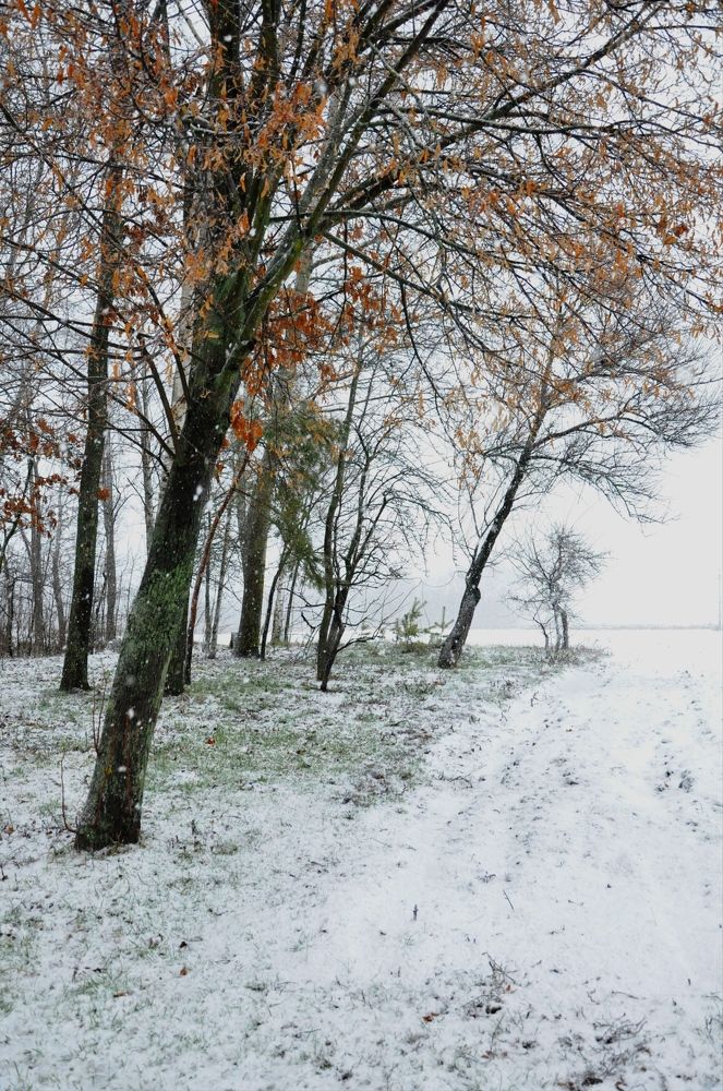 Photograph by Лысых Галина