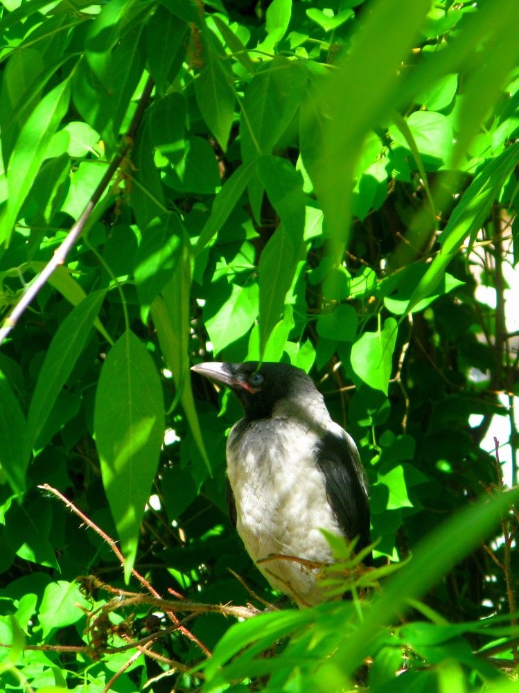 Photograph by Тимофей Петров