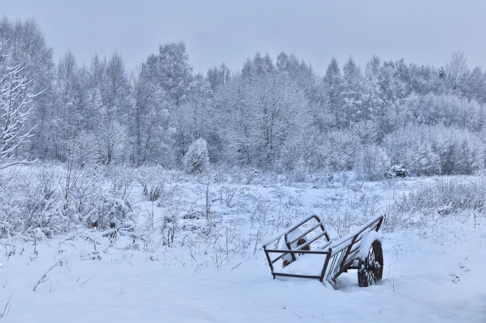 Photograph by Мария Бартош