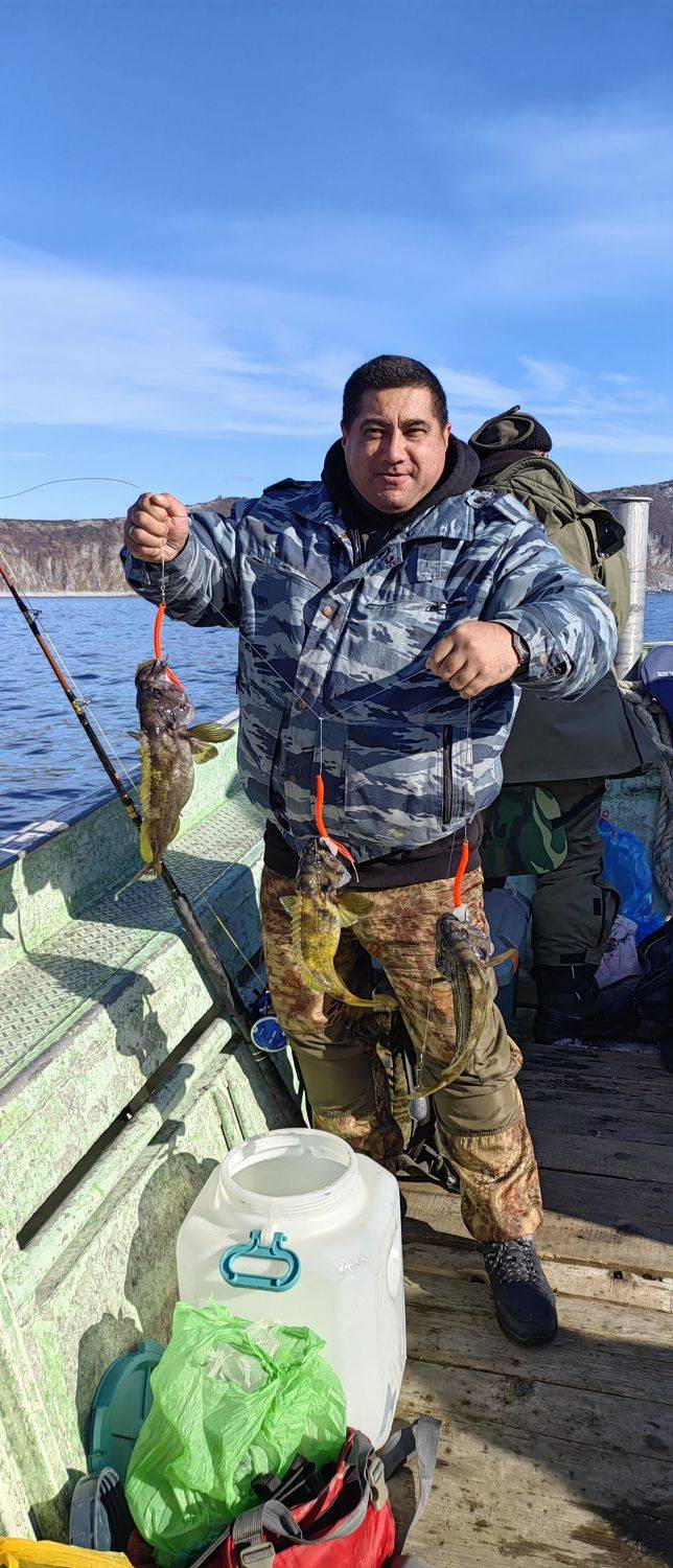Photo #8474373