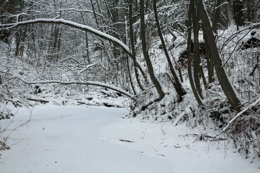 Photograph by Елена Змейкова
