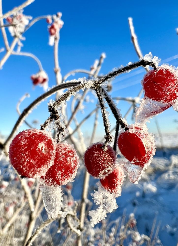 Photograph by Марина Нагичева