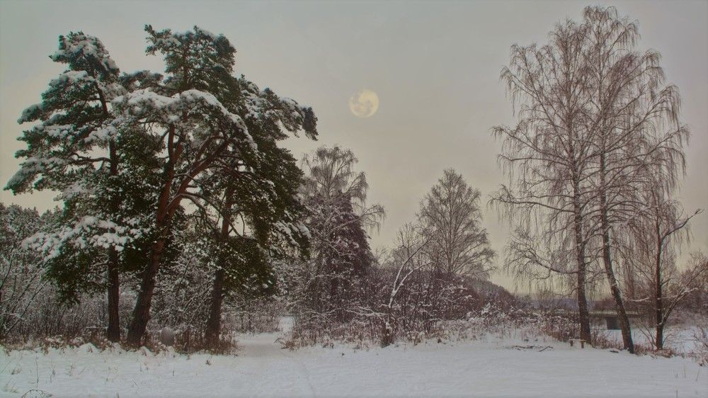 Photograph by Стас Неклюдов