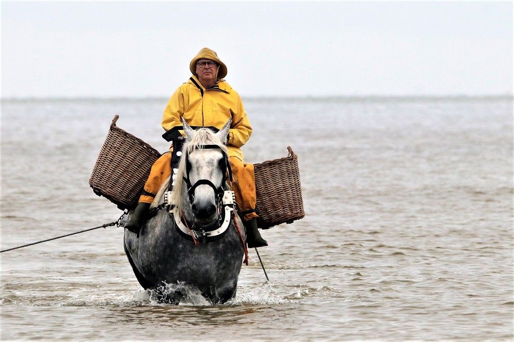 Фотография автора caroline martin (dony)