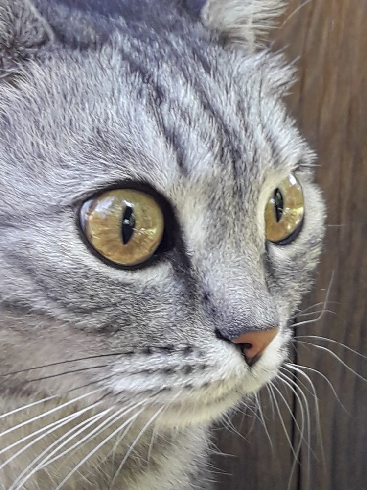 Photograph by Елена Алешкевич