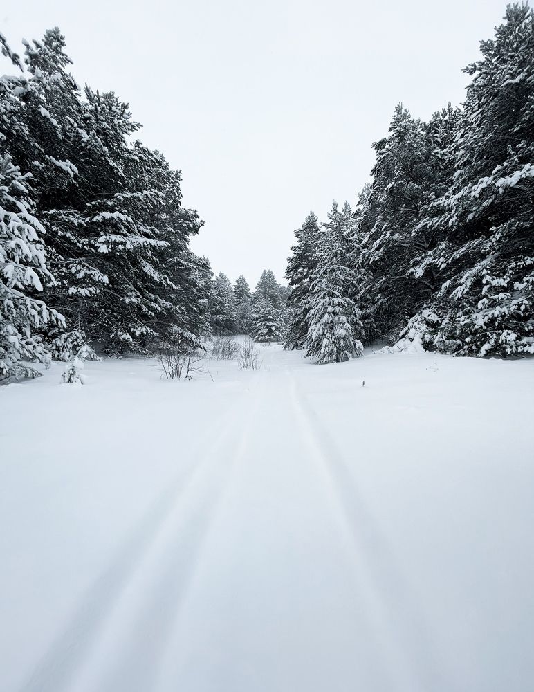 Photograph by Гуляева Светлана