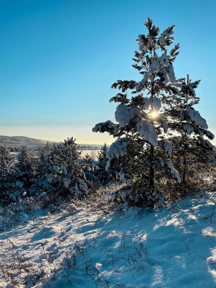 Photograph by Гуляева Светлана