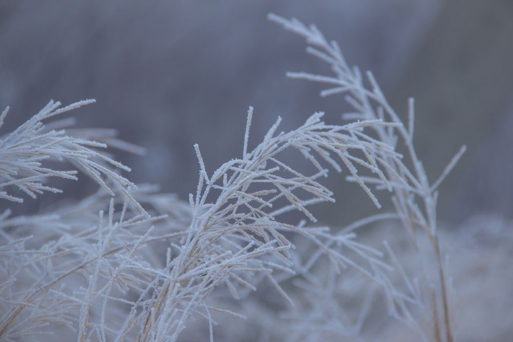 Фотография автора Ivan Karpoff