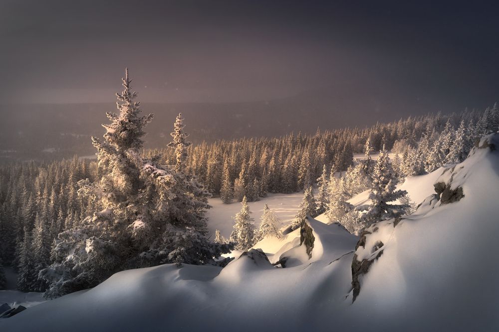 Photograph by Татьяна Бирюкова