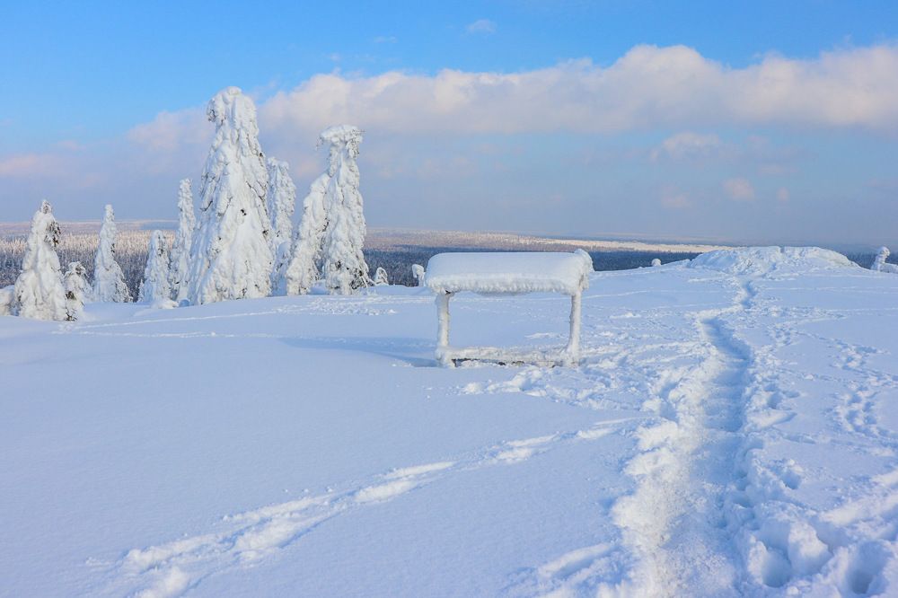 Photograph by Лилия Васильева