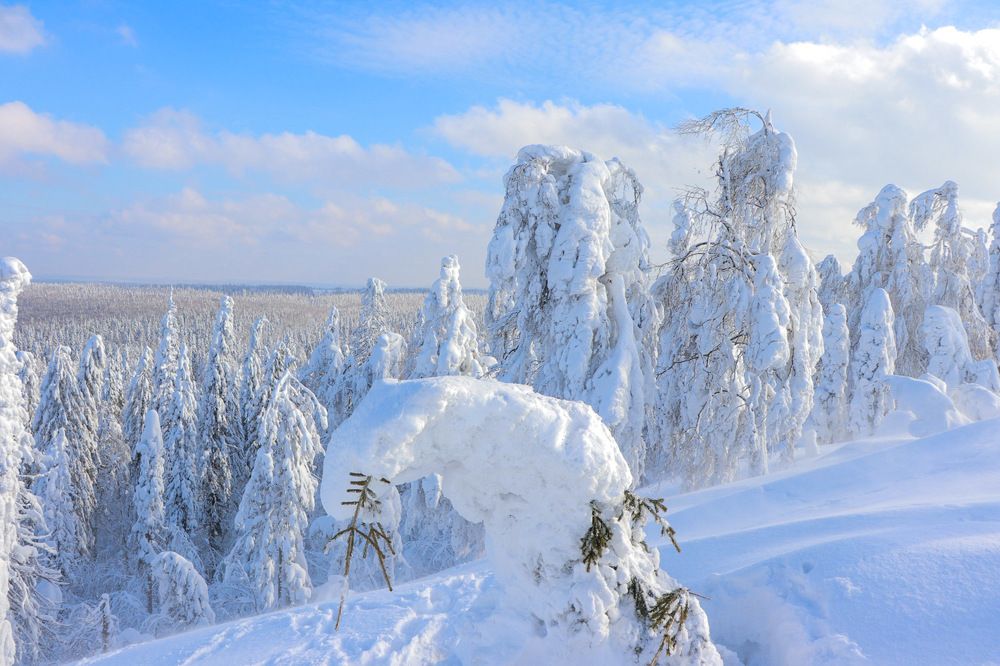 Photograph by Лилия Васильева