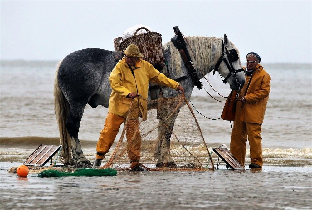 Фотография автора caroline martin (dony)