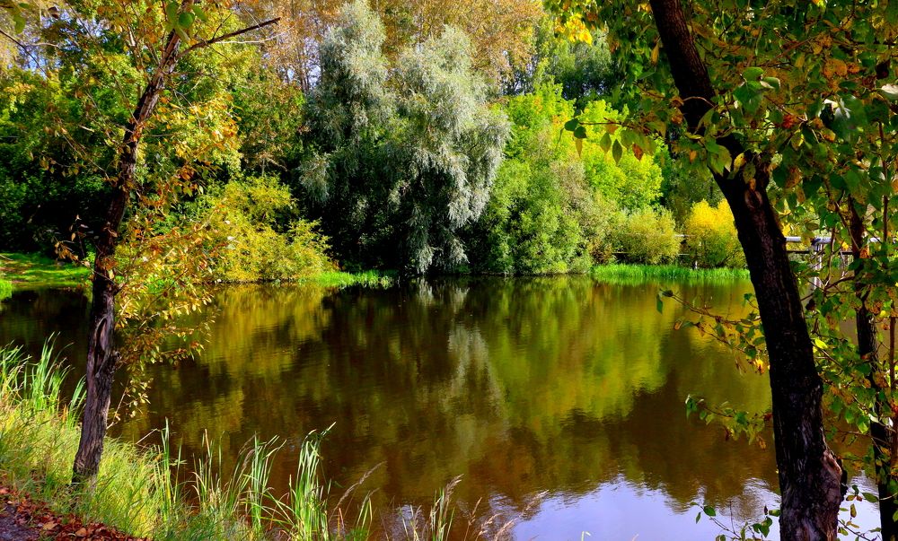 Photograph by салим насыпов