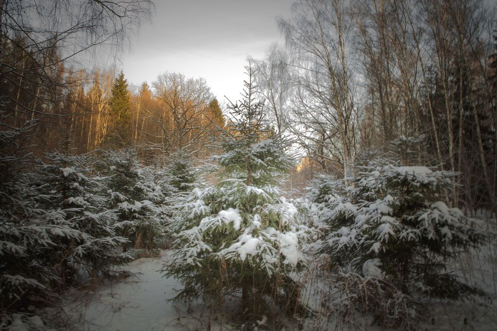 Photograph by Veronika Koneva