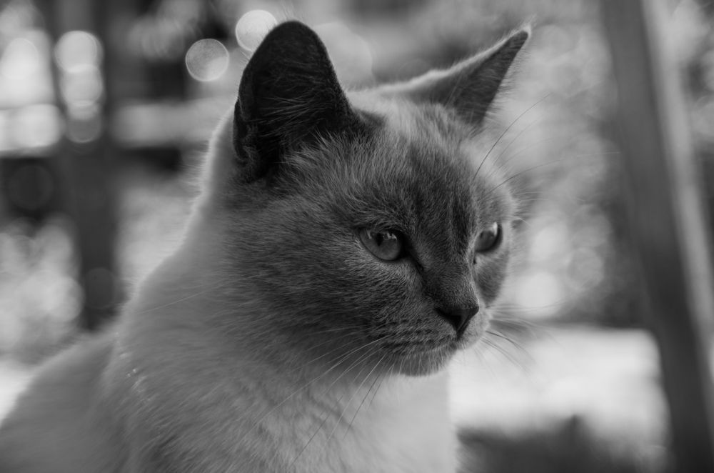 Photograph by Артём Серегин