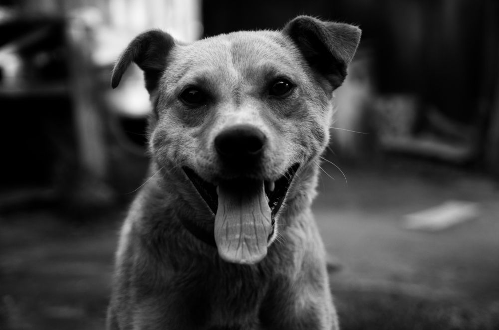 Photograph by Артём Серегин