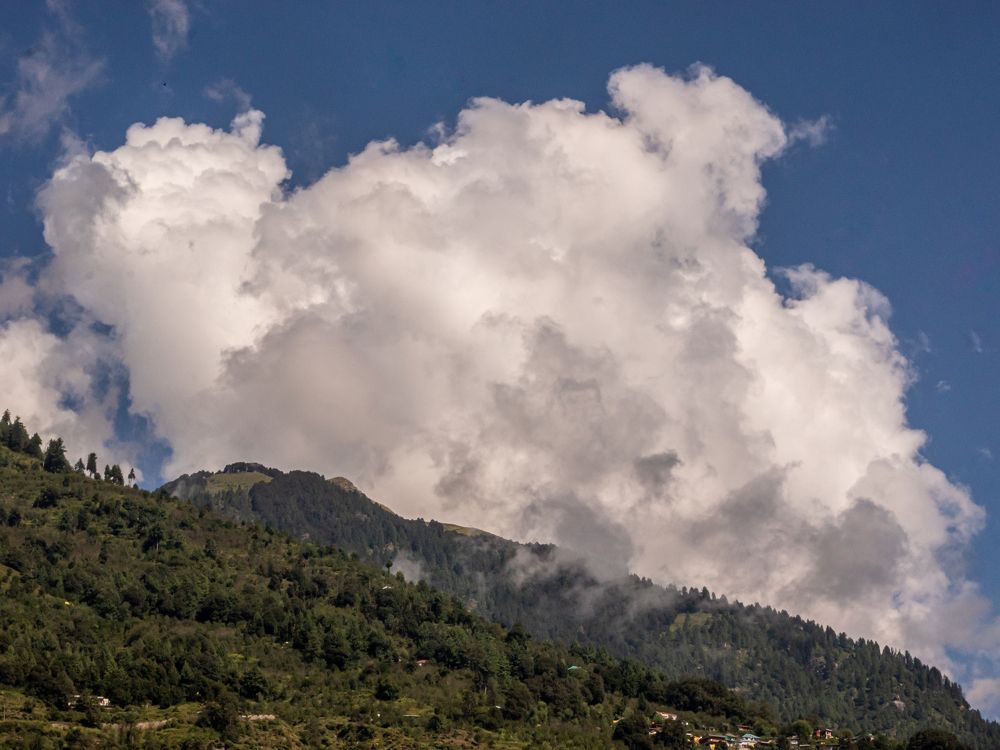 Фотография автора savitri Rawat