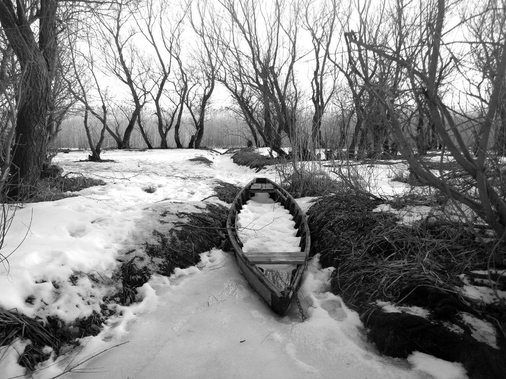 Photograph by Дмитрий Соколов