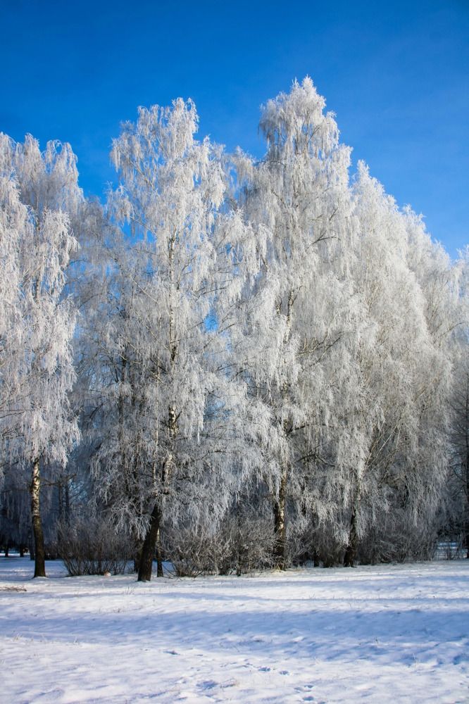 Photograph by Светлана Солдатченкова